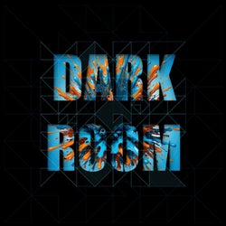 Dark Room, Vol. 11