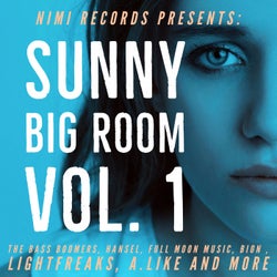 Sunny Big Room, Vol. 1