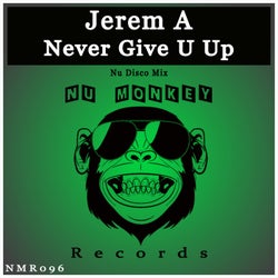 Never Give U Up (Nu Disco Mix)