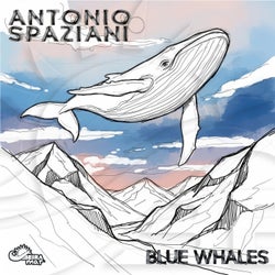 Blue Whales