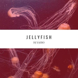 Jellyfish