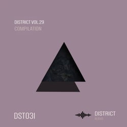 District 29