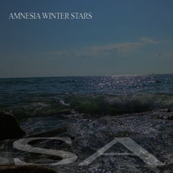 AMNESIA WINTER STARS