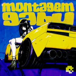 MONTAGEM GABU