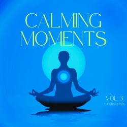 Calming Moments, Vol. 3
