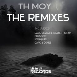 Th Moy the Remixes