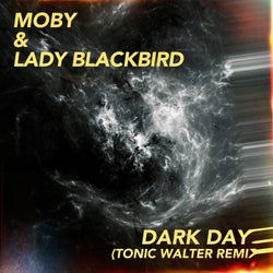 dark days (Tonic Walter Remix)