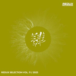 Redux Selection, Vol. 11 / 2025