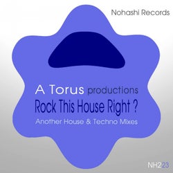 Rock This House Right ? (Another House & Techno Mixes)