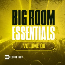 Big Room Essentials, Vol. 06