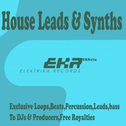 House Leads & Synths Loops