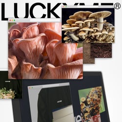 LuckyMe Advent Calendar 20