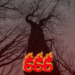 666