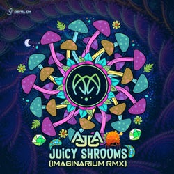 Juicy Shrooms (Imaginarium Remix)