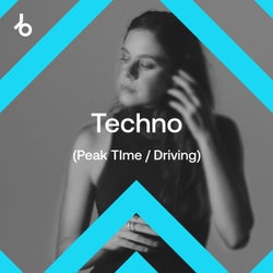 Hype Chart Toppers 2025: Techno (P/D)