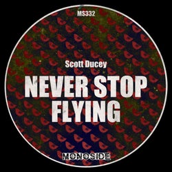 Never Stop Flying