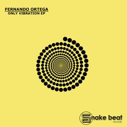 Only Vibration EP