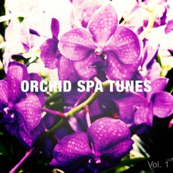 Orchid Spa Tunes (Asian Inspired Spa and Wellness Tunes)