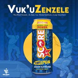 Vuk'uZenzele (feat. Mzulu Kakhulu, Luigi Anywhere)