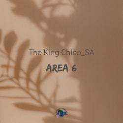 Area 6