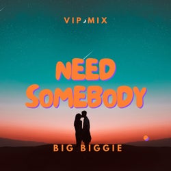 Need Somebody (VIP Mix)