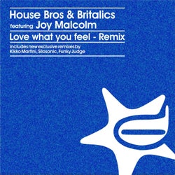 Love What You Feel ( Remix )