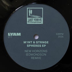 New Horizons (Edmondson Remix)