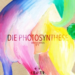 Die Photosynthese
