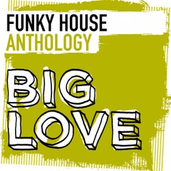 Big Love Funky House Anthology