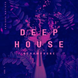 Deep-House and Champagne, Vol. 1