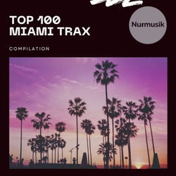 Top 100 Miami Trax