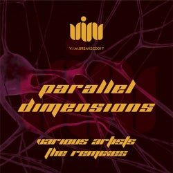 PARALLEL DIMENSIONS THE REMIXES