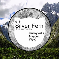 Silver Fern - the Remixes