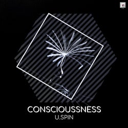 Conscioussness