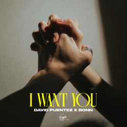 I Want You (Extended Mix)
