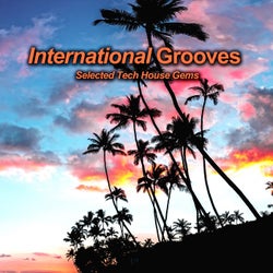 International Grooves (Selected Tech House Gems)