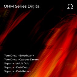 OHM Series 013