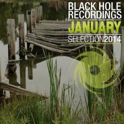 Black Hole Recordings January 2014 Selection