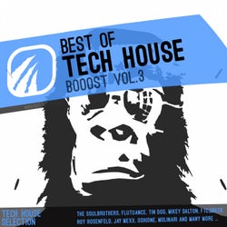 Best of Tech House Booost Vol.3