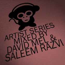 Housepital Artist Series, Vol. 9 Mixed By David Mel & Saleem Razvi