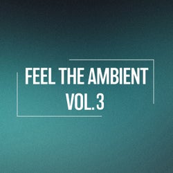 Feel the Ambient, Vol. 3