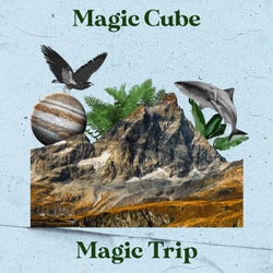 Magic Trip (Extended)