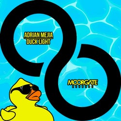 Duck Light