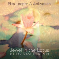 Jewel in the Lotus (DJ Taz Rashid Remix)