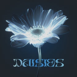 Daisies (Extended Mix)