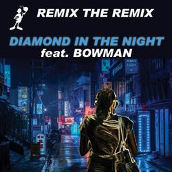 Diamond in the Night (feat. Bowman)