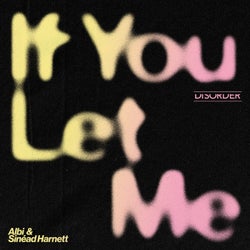 If You Let Me (Extended Mix)