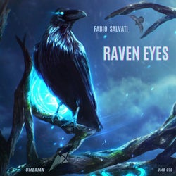 Raven Eyes