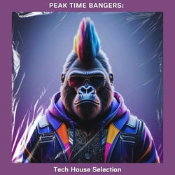 Peak Time Bangers: Tech House Selection