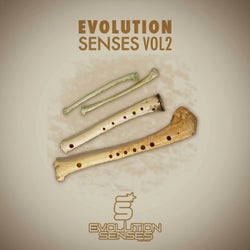 Evolution Senses Vol2